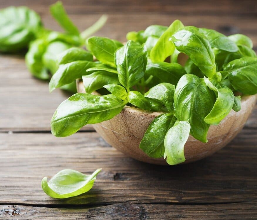 Pesto Biológico 180g